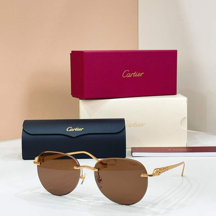 Picture of Cartier Sunglasses _SKUfw79616235fw